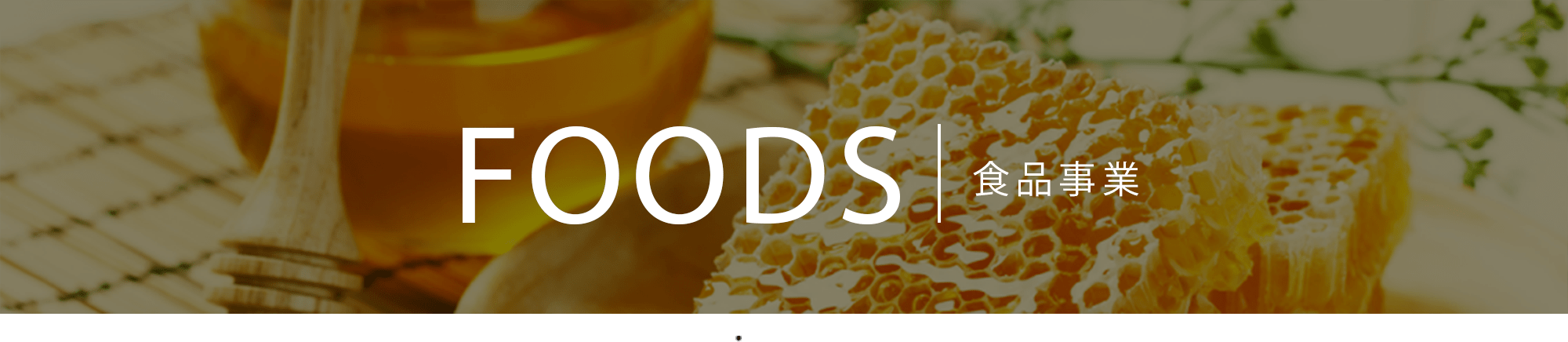 FOODS | 食品事業